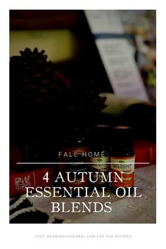 If you're looking for some cozy autumn essential oil blends for your home this season, look now further! I have 4 of my favorite autumn essential oil blends for you in this blog post!