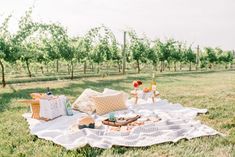 an outdoor picnic is set up in the grass