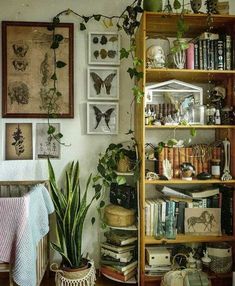 a living room filled with lots of books and plants