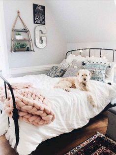 a dog laying on top of a bed in a bedroom