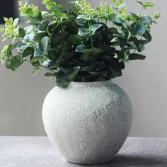 a white vase filled with green plants on top of a table