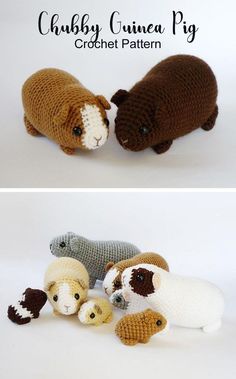 crochet guinea pig and other stuffed animals are shown in three different positions, including one laying on the ground