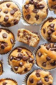 chocolate chip muffins with one bite taken out