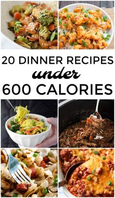 20 dinner recipes under 600 calories that are easy to make and delicious for the whole family