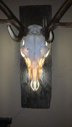 an animal's head mounted on the wall with two horns hanging down from it