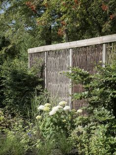 a garden with lots of plants and flowers next to a wooden structure in the woods