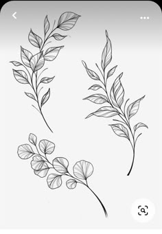 two branches with leaves drawn on them