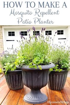 how to make a mosquito repellent patio planter