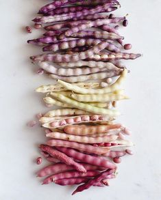 purple and white beans laid out in a row on a white surface, with the tops turned down