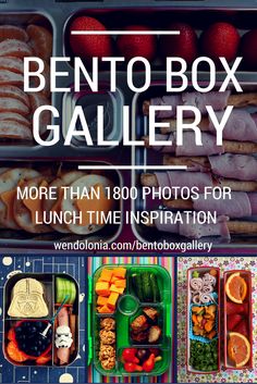 the bento box gallery is full of food