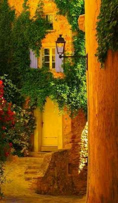 an alley way with flowers and vines growing on the side of it in front of a building