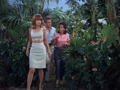 three people standing in the middle of a jungle with palm trees and flowers behind them