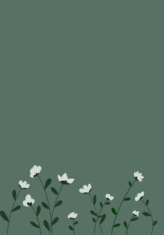 some white flowers on a green background