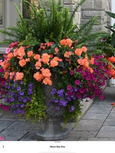 an assortment of flowers in a pot outside