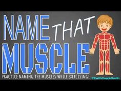 the words name that muscle are in front of a cartoon image of a man's torso