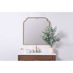 a bathroom vanity with a large mirror above it and a plant on the counter top