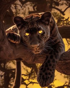 a close up of a leopard on a branch with trees in the background and yellow eyes