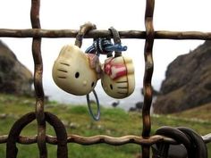 two hello kitty headphones hanging from a wooden fence with green grass in the background