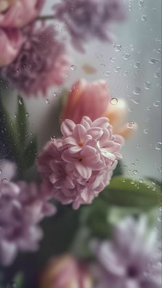 pink and purple flowers sitting on top of a window covered in raindrops with water droplets