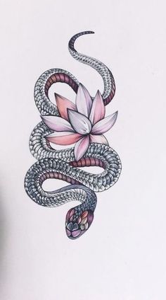 a drawing of a snake with a flower on it