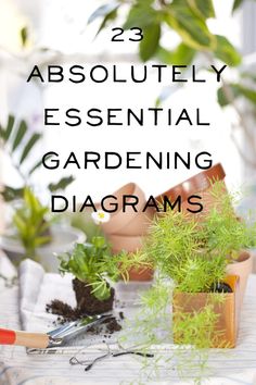 an assortment of gardening tools and plants on a table with text overlay that reads 23 absolutely essential garden diagrams