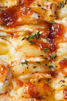 closeup of chicken and cheese casserole with herbs