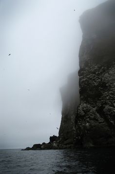 birds flying over the edge of a cliff on a foggy day