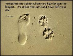 two footprints in the sand with a quote on it that says,'friend isn't about when you have known the longer, it's about who came and never left your side