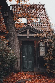 an old wooden house surrounded by trees and leaves