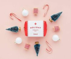 Holiday Survival Kit Red, Gift by Pinch Provisions | LIT Boutique Holiday Survival Kit, Lint Brush, Cuticle Oil, Hand Lotion, Survival Kit, Seasonal Gifts, Leather Pouch, Free Giveaway, Lip Balm