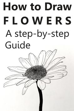 the cover of how to draw flowers by step guide