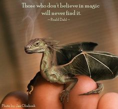 a hand holding a small toy bat in it's palm with the caption, those who don't believe in magic will never find it