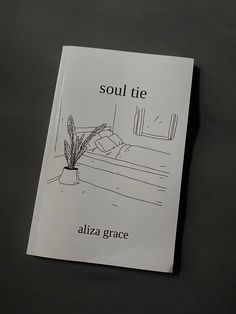 a book with an image of a couch and a potted plant on the cover