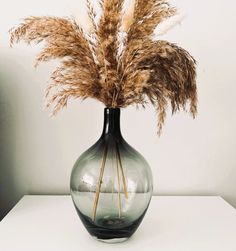 there is a vase with some plants in it