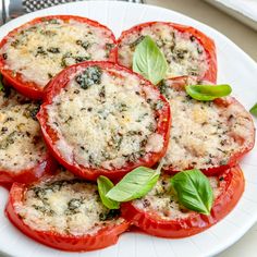 tomatoes with basil and cheese on a white plate