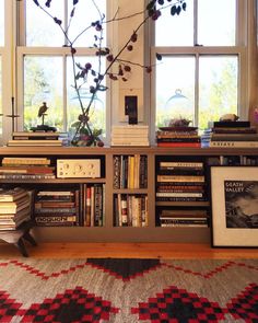 the bookshelf is full of books and there are many plants in the window sill