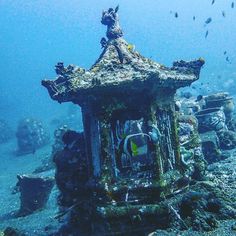 an underwater photo of a structure in the ocean with lots of fish swimming around it