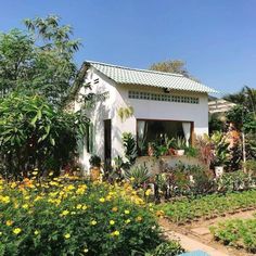 a small white house surrounded by flowers and greenery on a sunny day in the garden