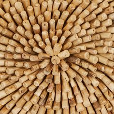 an arrangement of bamboo sticks arranged in the shape of a star