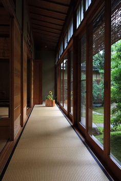 an empty hallway with large windows and plants on the side walk in front of it