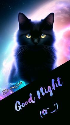 a black cat with glowing yellow eyes and the words good night in front of it