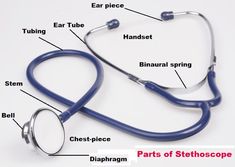 Parts of Stethoscope Stethoscope Parts, Nursing Student Quotes, Kidney Anatomy, Emt Study, Student Quotes, Ear Tubes, Biology Diagrams