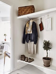 an open closet with shoes and clothes hanging on the wall next to a potted plant