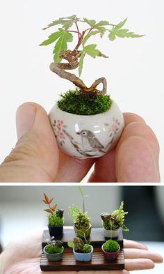 a hand holding a small white vase with a tree growing out of it's side