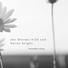 she blooms wild and burns bright She Blooms Wild And Burns Bright, Live Life In Full Bloom Quote, Butterfly And Flower Quotes, Bloom Quotes Short, Bloom Like A Flower Quotes, Women And Flowers Quotes, Blooming Quotes Flower, Wildflower Quote Tattoo, Flower Quotes Short Beautiful Aesthetic