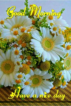 a bouquet of daisies with the words good morning have a nice day