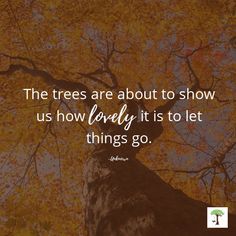 the trees are about to show us how lovely it is to let things go quote