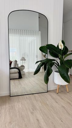 a large mirror sitting on top of a wooden floor next to a potted plant