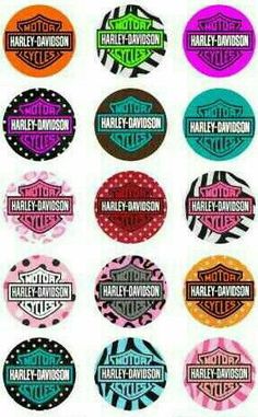 the harley davidson stickers are all different colors