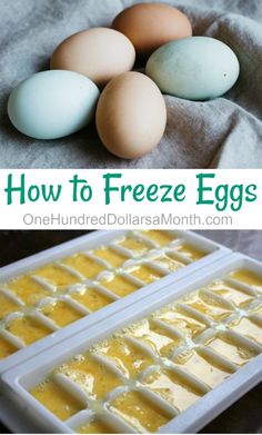 how to freeze eggs in an ice tray with text overlay that says how to freeze eggs